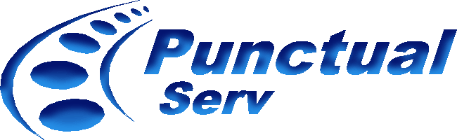 PunctualServ